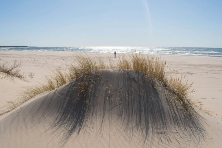 Ventspils Beach: Sand dune, Baltic Sea, and dune grass.