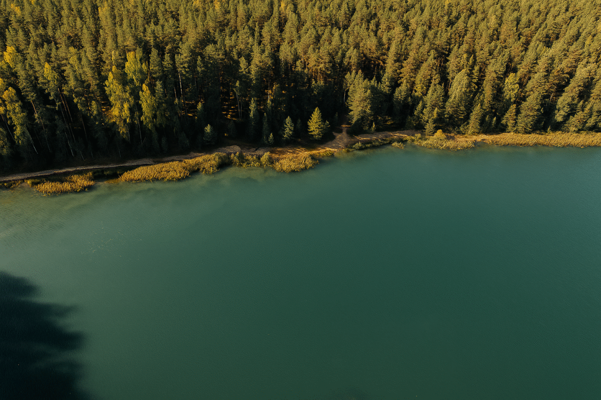 Scenic places to visit in Ogre featuring lush pine-covered hills, peaceful riverbanks, and a clear blue sky inviting outdoor exploration.