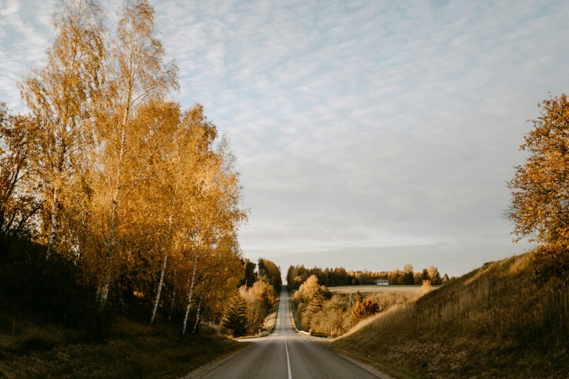 Discover the Best Things to Do in Sabile, Latvia