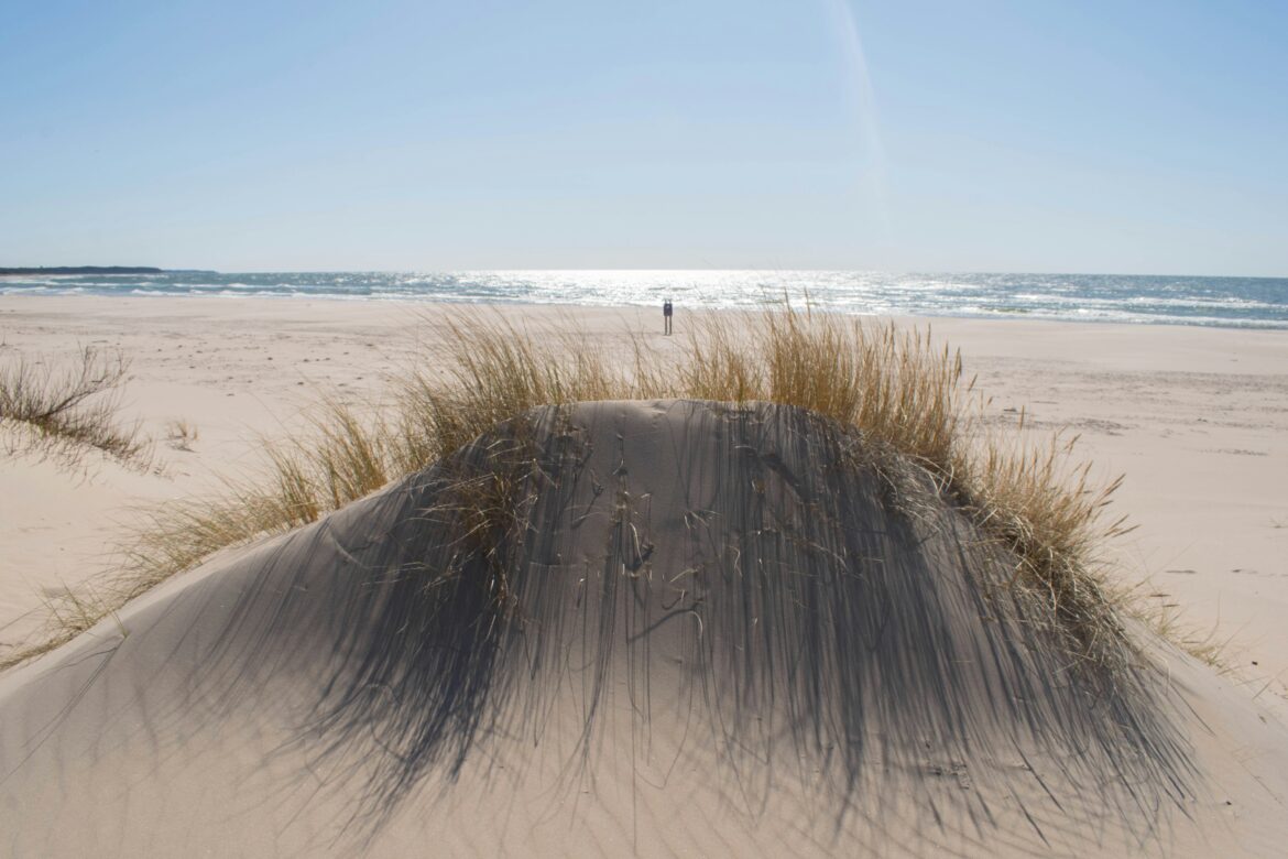 Secret Spots Only Locals Know in Ventspils
