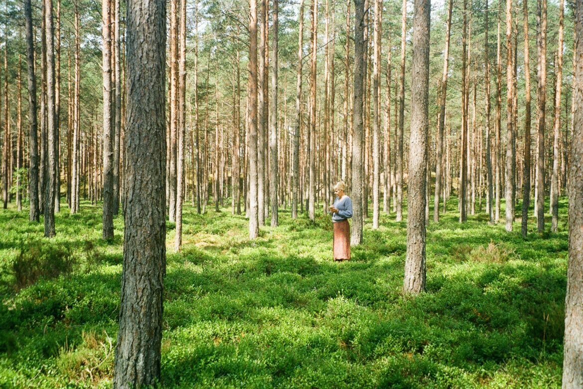 What to See and Do in Roja, Latvia: A Peaceful Escape by the Sea
