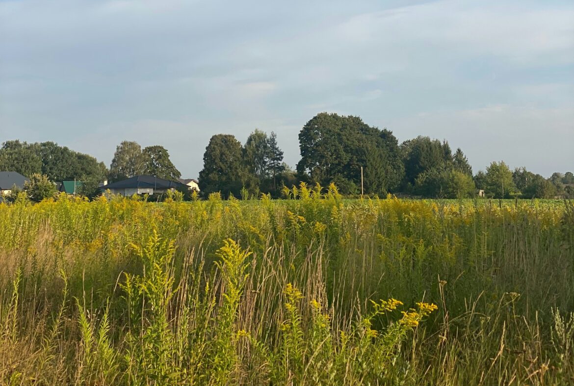 Nature and Culture in Mārupe Municipality, Latvia