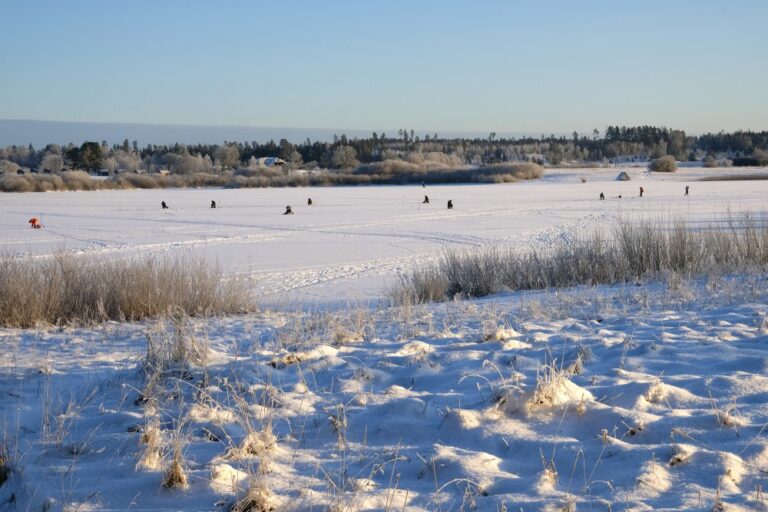 Ice fishing in Latvia during winter – a popular outdoor activity for nature lovers and adventurers
