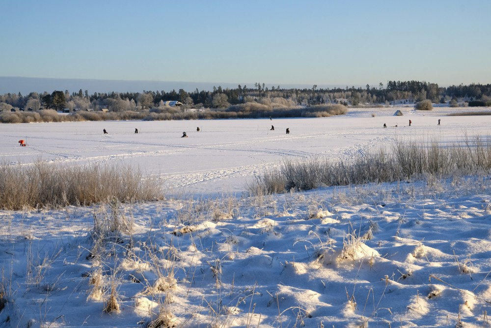 Winter Activities in Latvia: From Ice Fishing to Snowshoeing