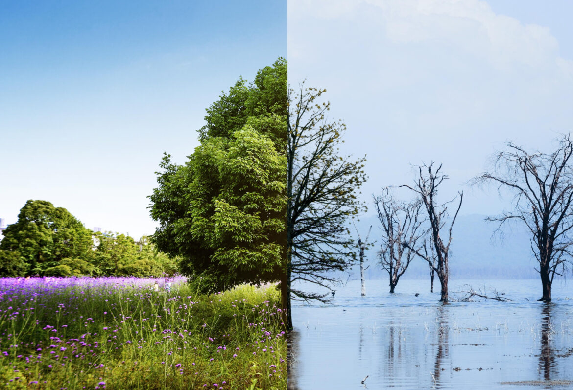 Impact of Climate Change on Latvia’s Forests and Wildlife