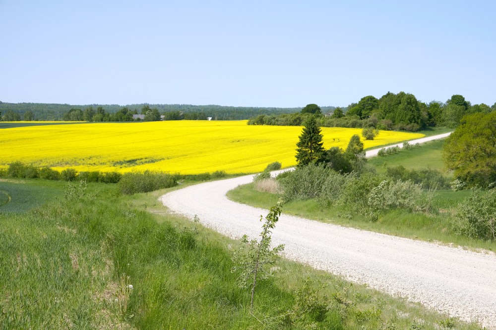 Scenic Drives in Latvia: Routes Worth Hitting the Road For