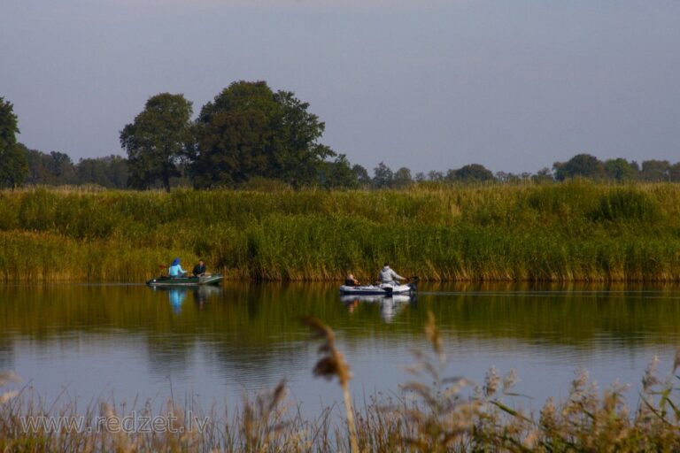 Fishing in river Venta