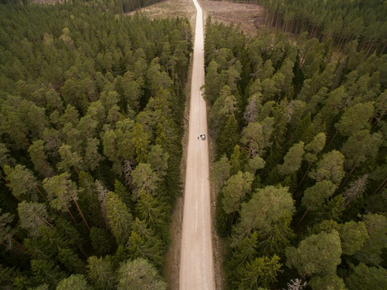 Latvia endangered wildlife preservation