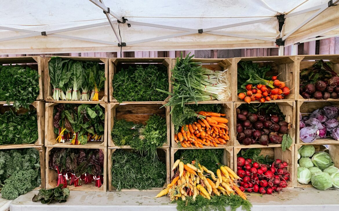 Organic Living in Latvia: Guide to Local Markets and Eco Stores
