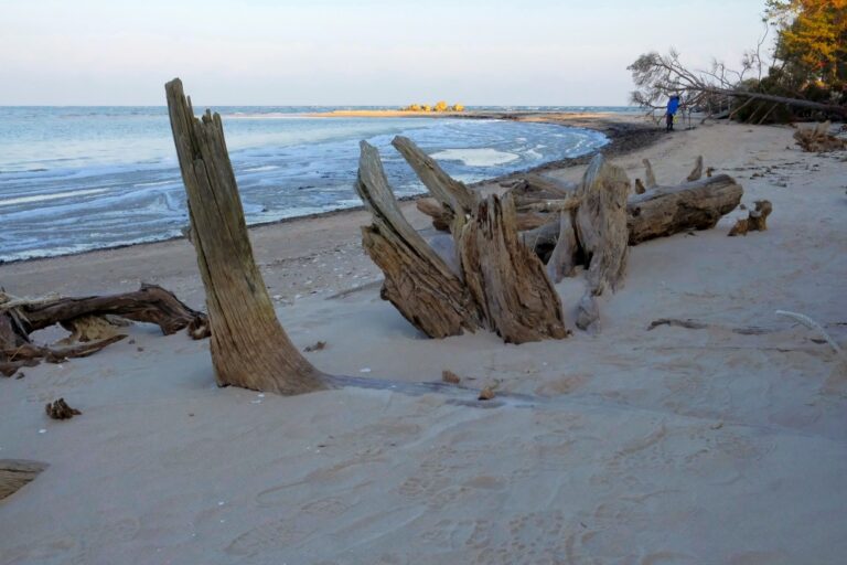 Cape Kolka Coast - Scuba diving in Latvia