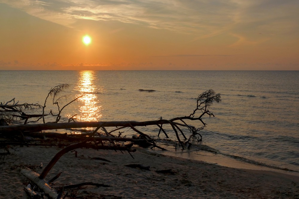 Cape Kolka: Where the Baltic Sea Meets the Gulf of Riga