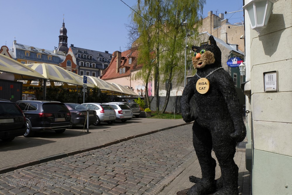 Unique Souvenirs from Latvia: What to Bring Home from Your Trip